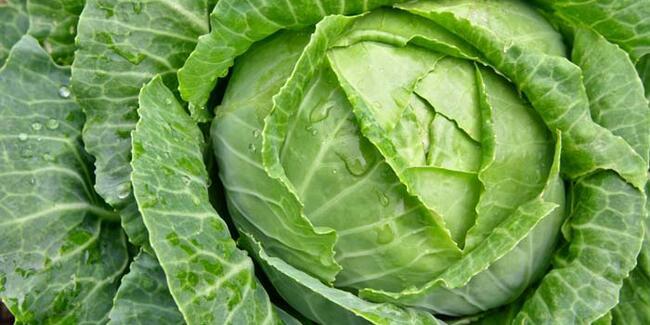 P vitamini nədir? - İnanılmaz faydaları var, ancaq...