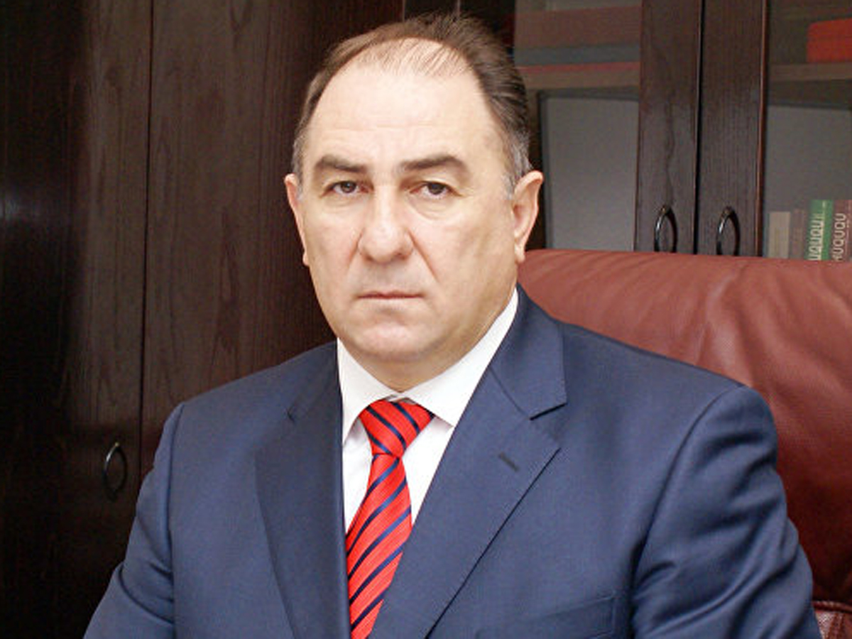 AMEA-nın vitse-prezidenti ziyalılarımızı Azərbaycan reallıqlarını dünyaya çatdırmağa çağırıb  