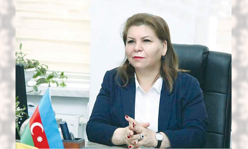 Qəlbində QARABAĞ təşnəsi olan xalq QƏLƏBƏ əzmindədir - Professor