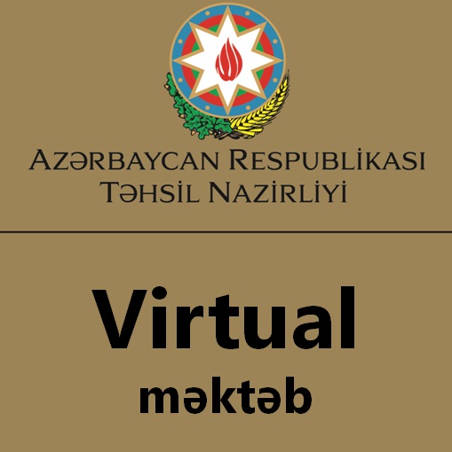 Virtual məktəb mütəxəssisi bədbin danışdı: 