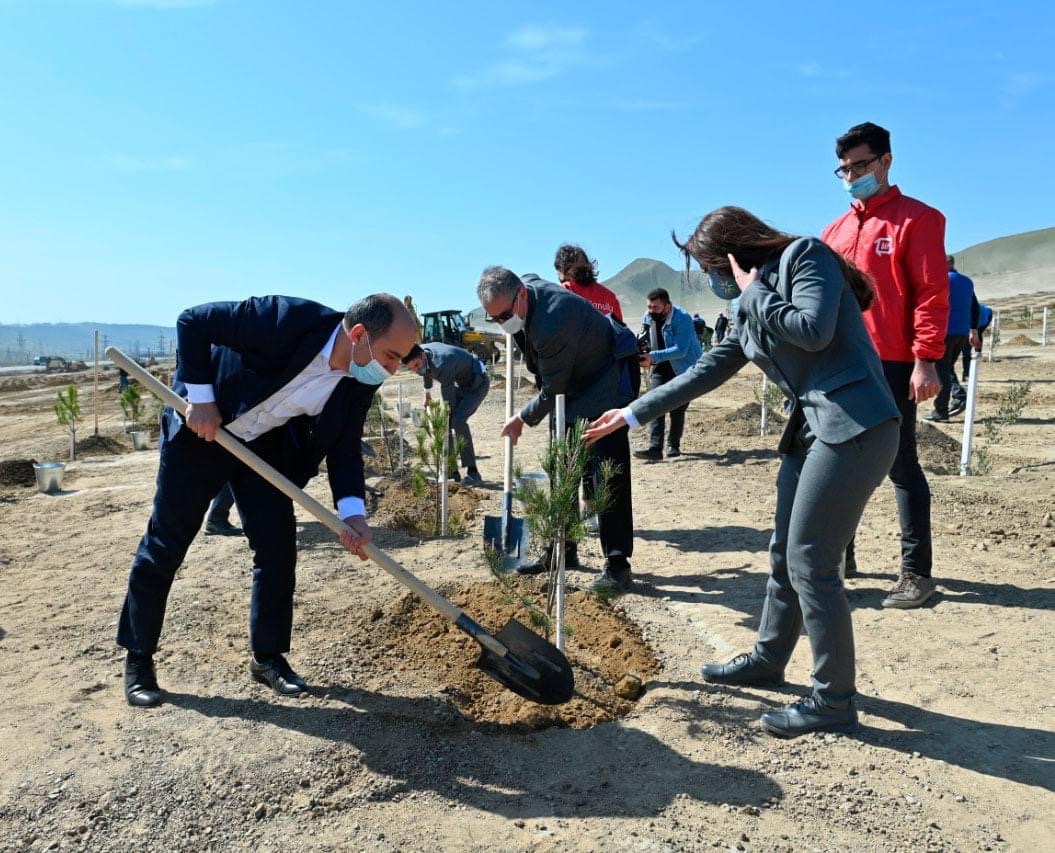 Emin Əmrullayev ağacəkmə aksiyasında iştirak edib