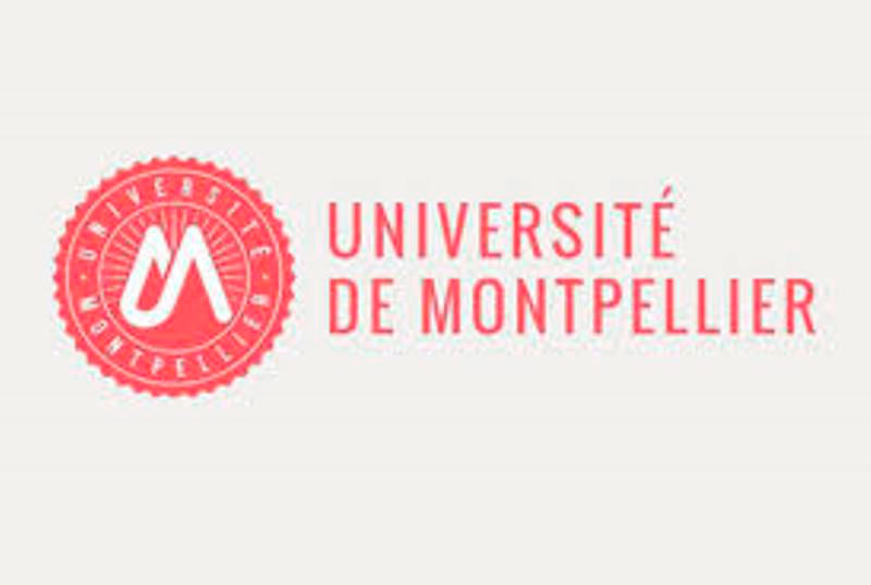 Fransanın Montpellier Universiteti ilə ikili diplom proqramına qəbul davam edir  