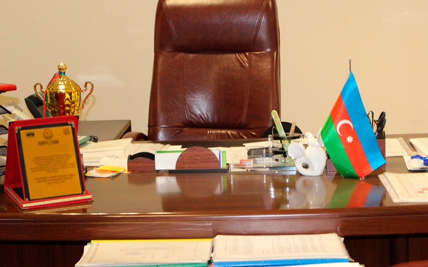 Azərbaycanda rektor və direktor vəzifəsində işləyən qadınların sayı açıqlanıb