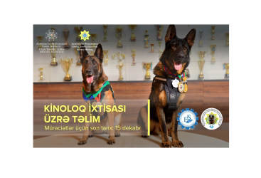 Kinoloq ixtisası üzrə qısamüddətli təlimlərə müraciət qəbul olunur