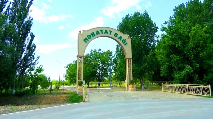 Mərkəzi Nəbatat Bağı və Dendrologiya İnstitutu AMEA-nın balansından çıxarılıb