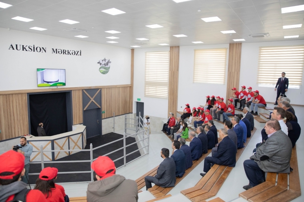Mingəçevir Dövlət Universiteti Qobustanda innovasiya festivalında təmsil olunub