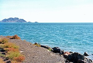AMEA: Xəzəri Aral dənizinin aqibəti gözləyə bilər