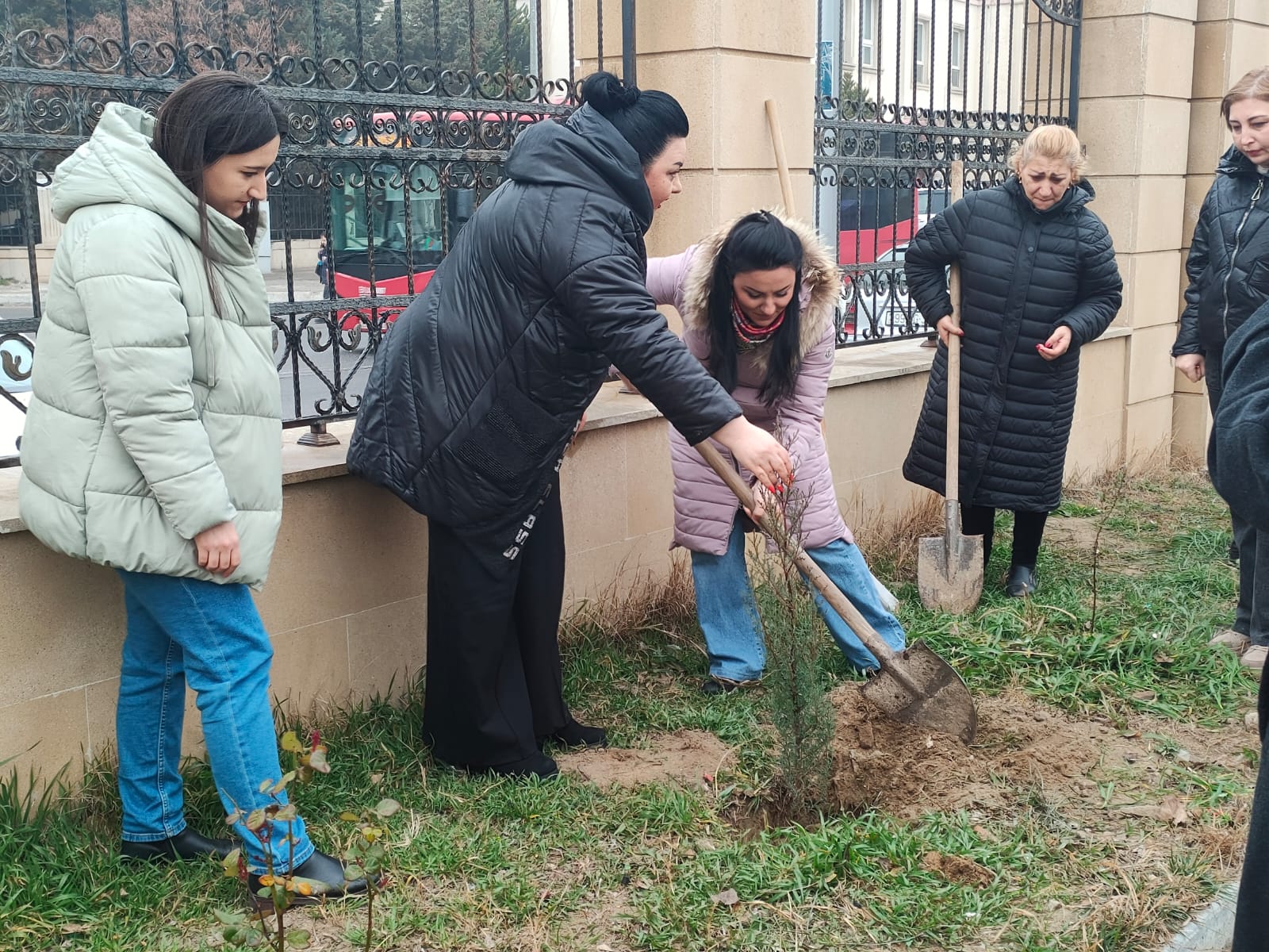 Məktəblərdə ağacəkmə kampaniyası davam edir