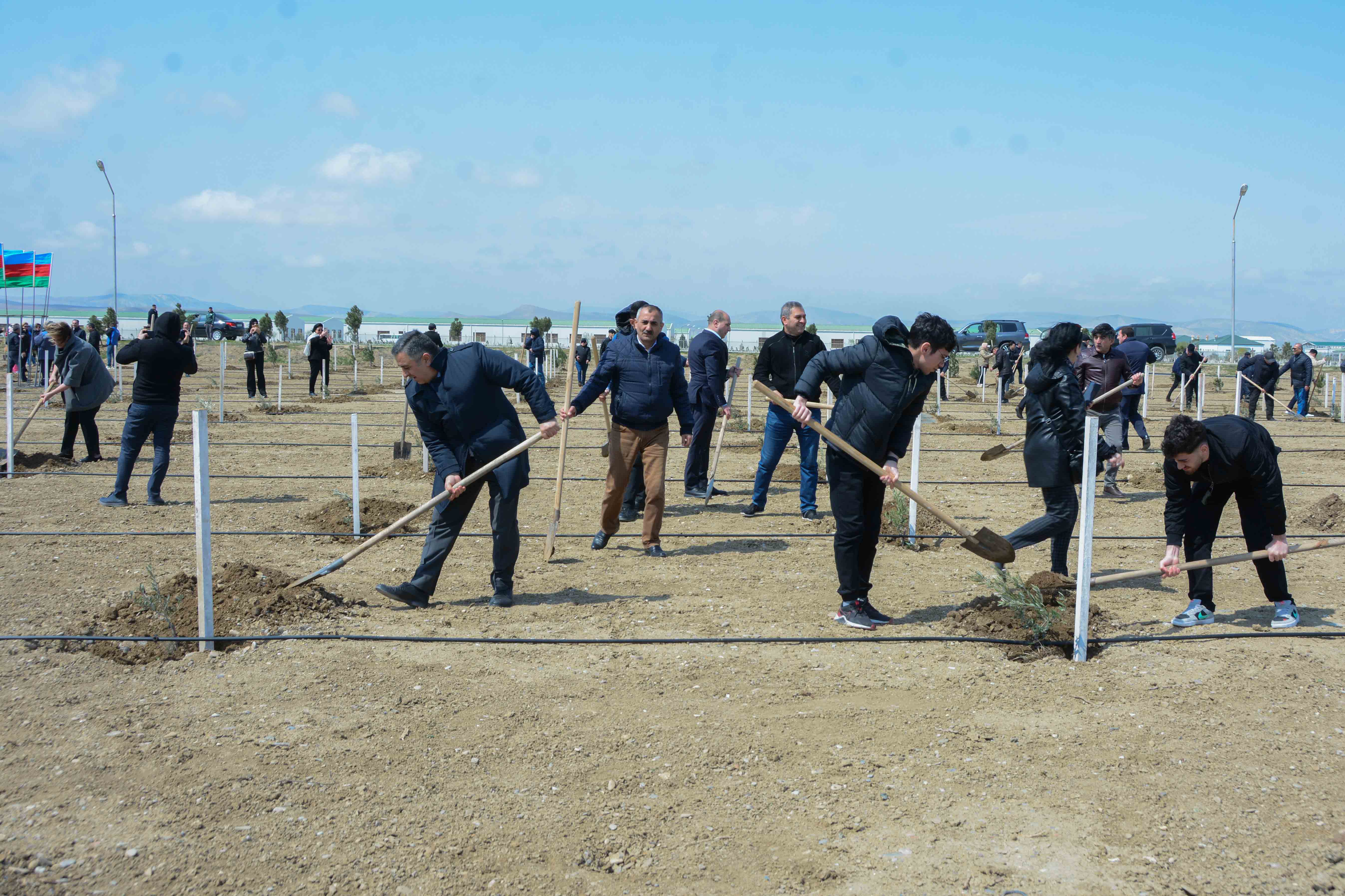 UNEC ağacəkmə aksiyasına qoşuldu