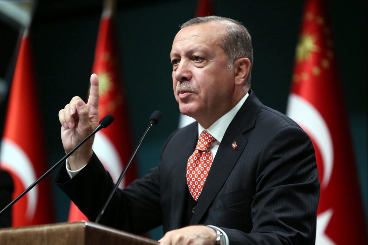 Ərdoğan 13 universitetə rektor təyin edib
