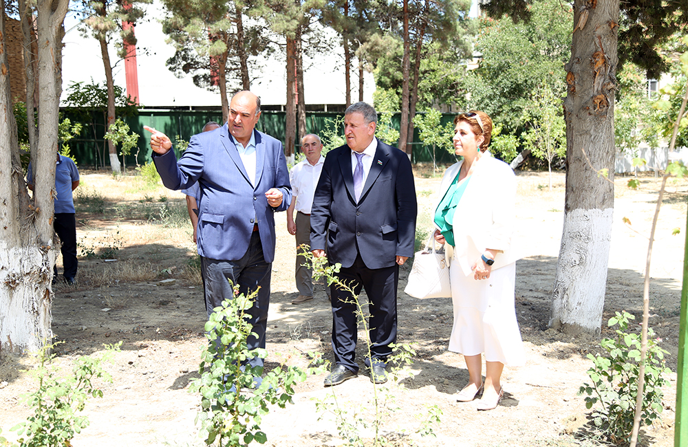 AMEA prezidenti Nadir ağaclar parkında...