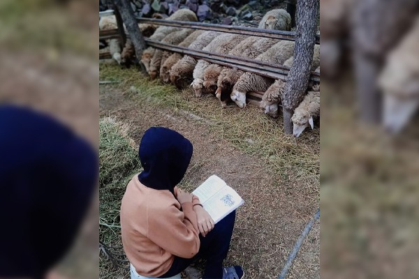 Məktəbli çoban : “İnsanlara ziyan verən şəxsləri dünyadan təmizləmək istərdim”