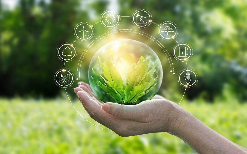 Professor: “Dünya “yaşıl enerji” mənbələrinə keçməlidir”