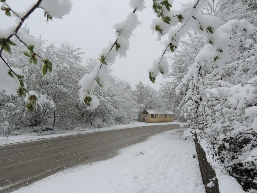Sabah Bakıda hava küləkli olacaq, rayonlara qar yağacaq