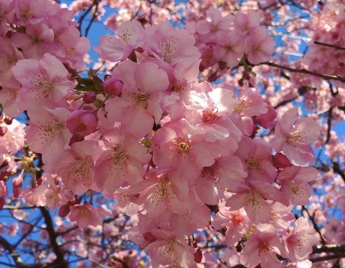 Sabah 21 dərəcə isti olacaq