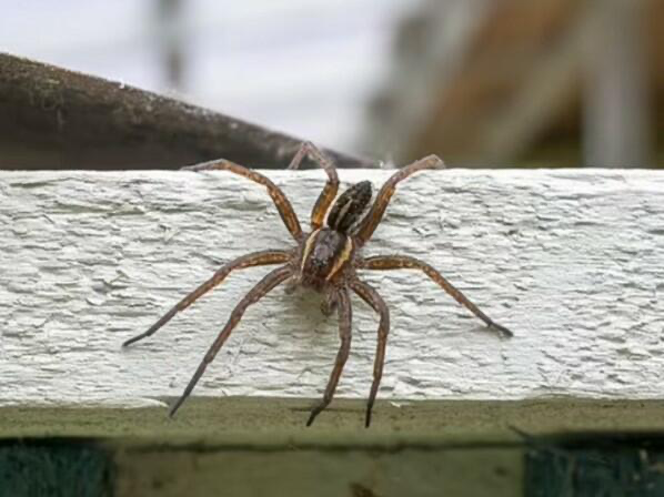 Alimlərin gördüyü iş ölkəyə problem yaratdı 