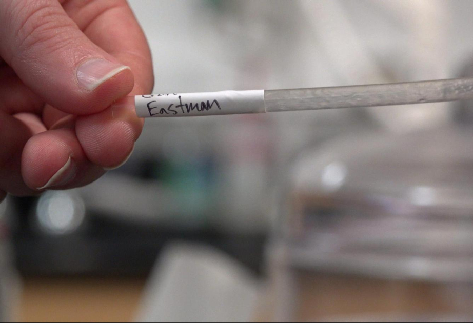 Kağızdan tez parçalanan plastik hazırlanıb - TƏDQİQAT
