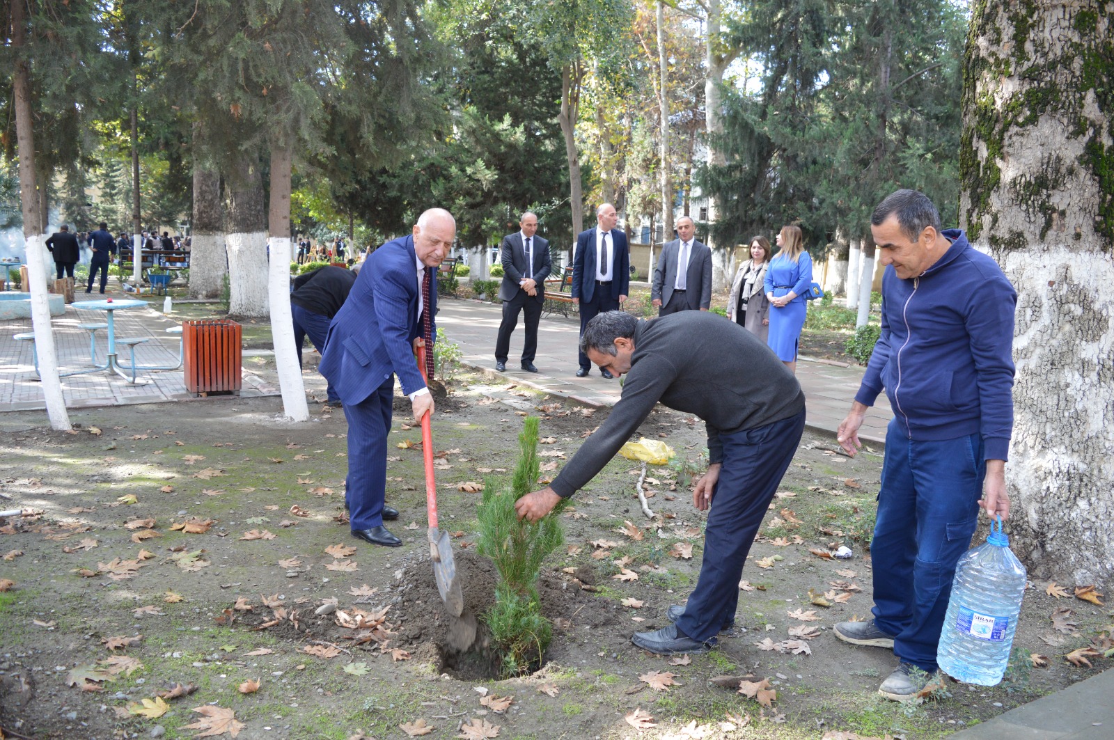 MDU-da ağacəkmə aksiyası uğurla davam edir