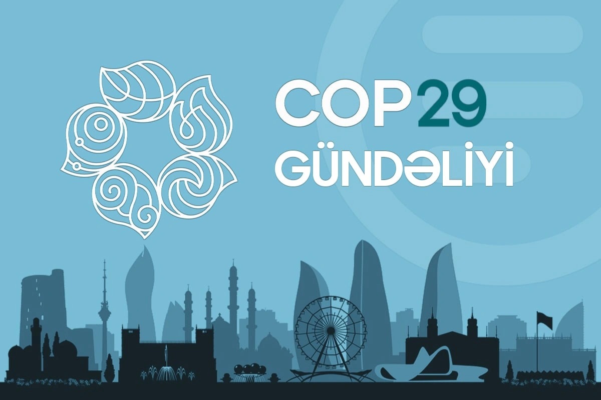 COP29-un IX günü- "Yerli gənclərin düşüncələri"