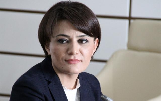 Azərbaycanın təhsil sahəsindəki uğurlar: Heydər Əliyevin liderlik yolu