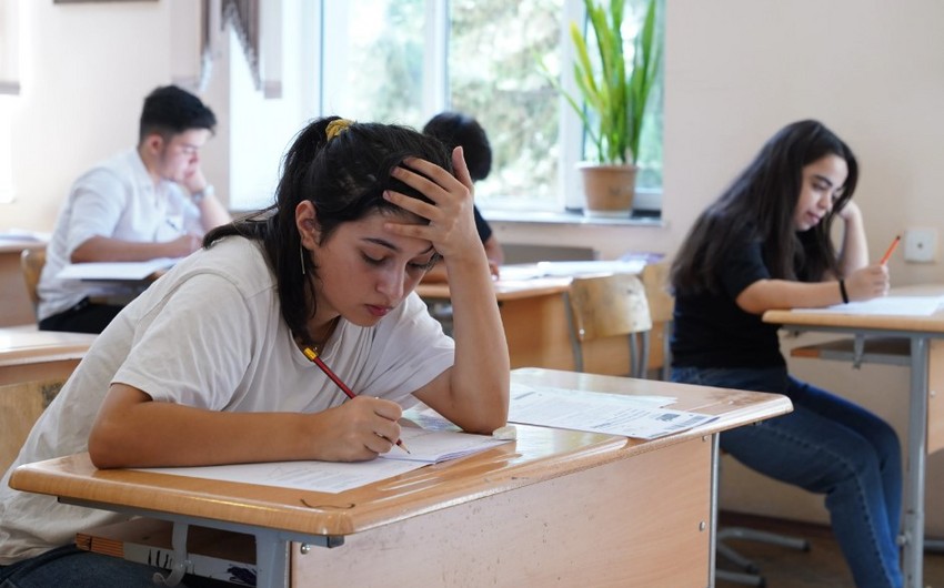 İmtahan vermədən universitetə QƏBUL - "Bu ixtisasları seçsəniz..."