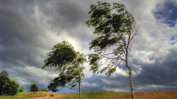 Küləkli hava şəraiti ilə bağlı xəbərdarlıq edilib