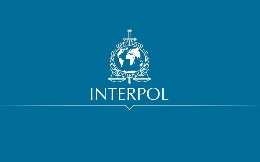 Uşaqların cinsi istismarı ilə bağlı 12 ölkədə 20 nəfər həbs edilib