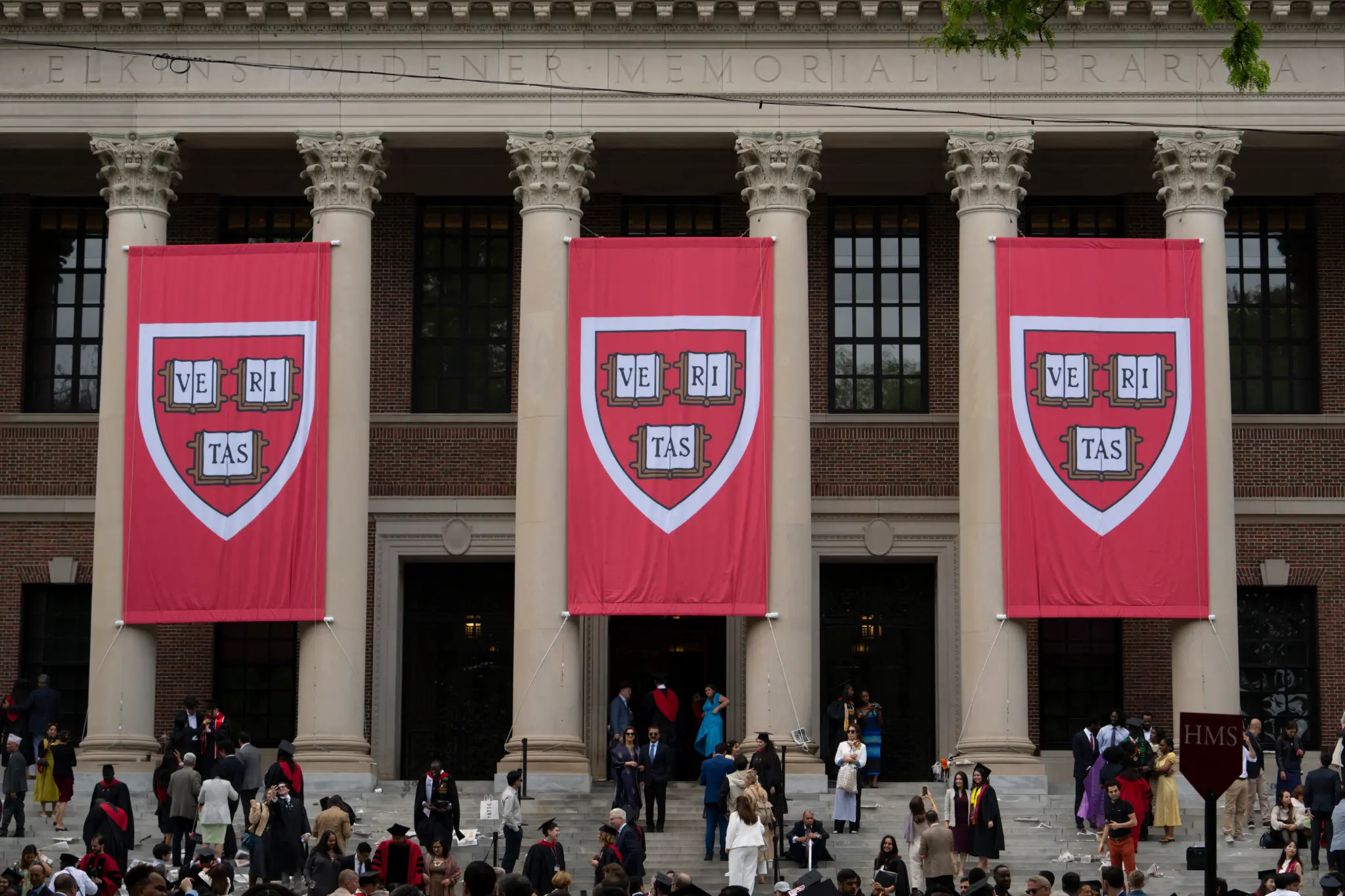 Harvardda oxumaq arzusunda olanlara xəbər var