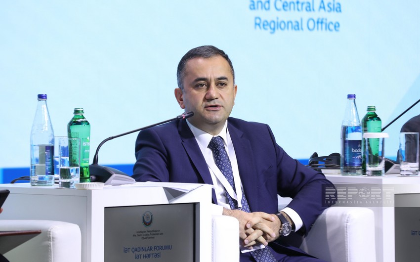 Azərbaycanda təhsil alan tələbə qızların faiz nisbəti açıqlanıb