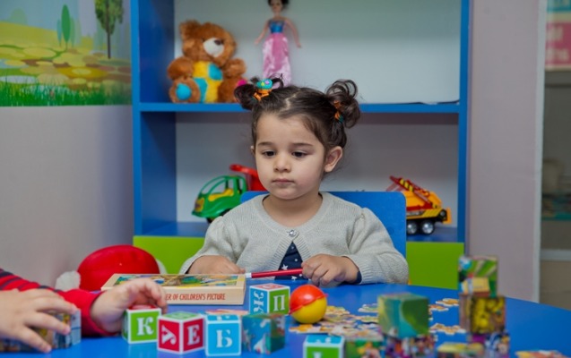 Mil-Muğan regionunda neçə bağça var? - say AÇIQLANDI