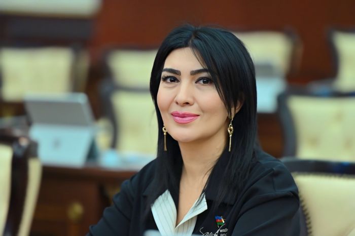 Deputat: İctimai dinləmələrə ədəbiyyat və dil müəllimləri dəvət olunmalıdır