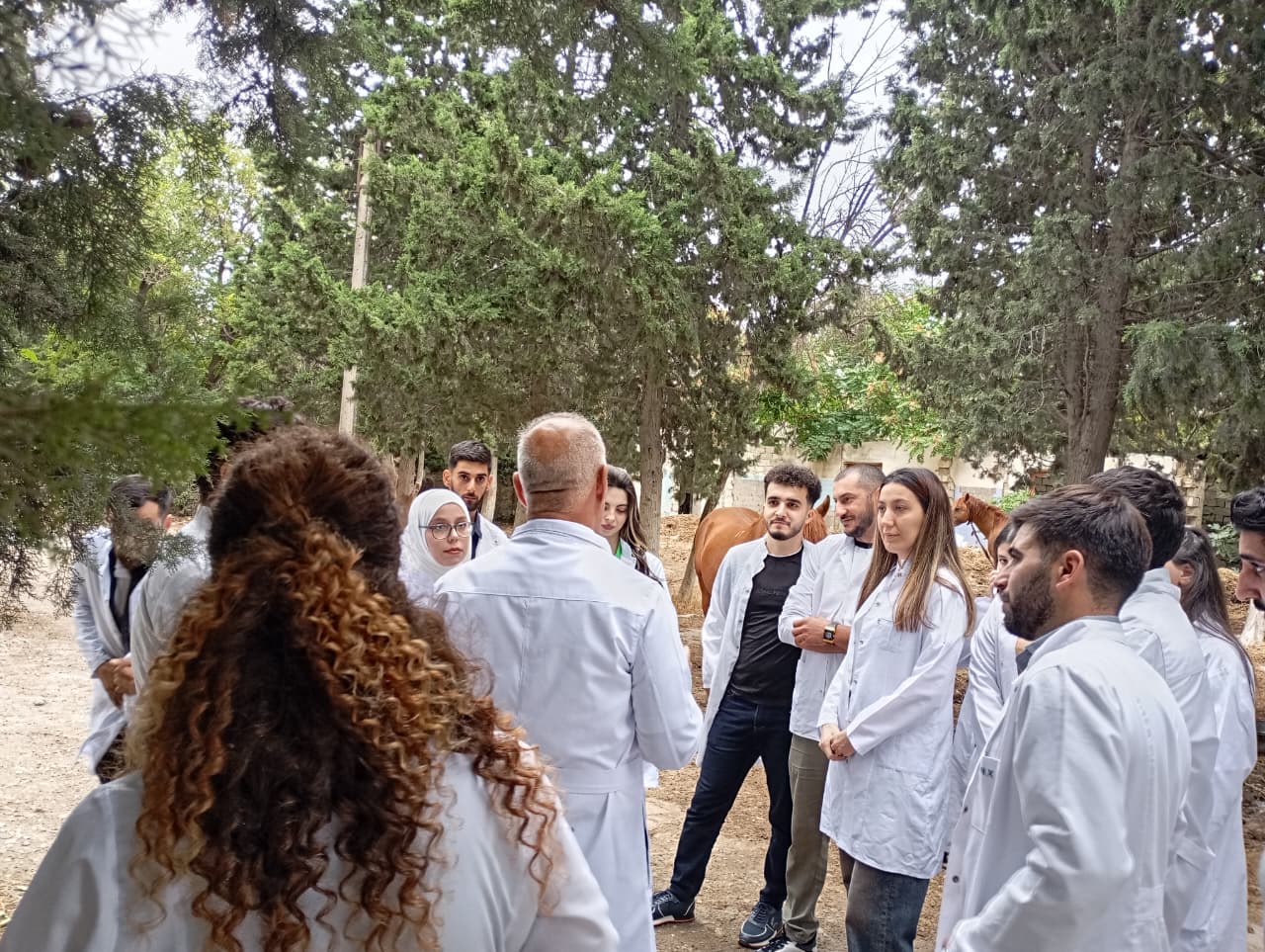 LDU tələbələri Baytarlıq Elmi-Tədqiqat İnstitutunda kliniki-təcrübə dərsləri keçir