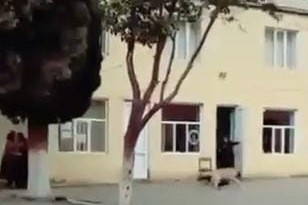 Məktəbin qarşısında it qadına hücum etdi