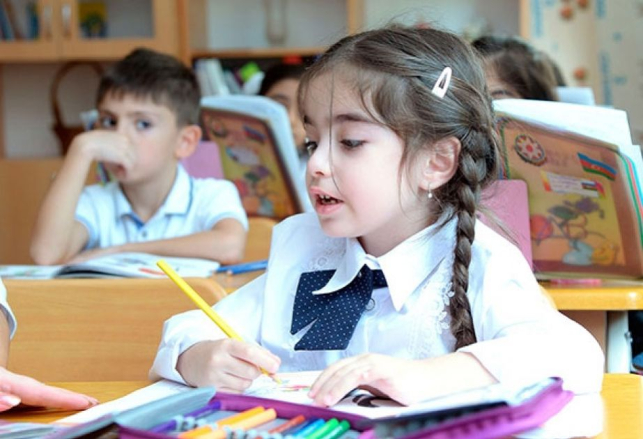 Məktəblərlərdə yeni fənnin tədrisinə başlanmalıdır - TƏKLİF