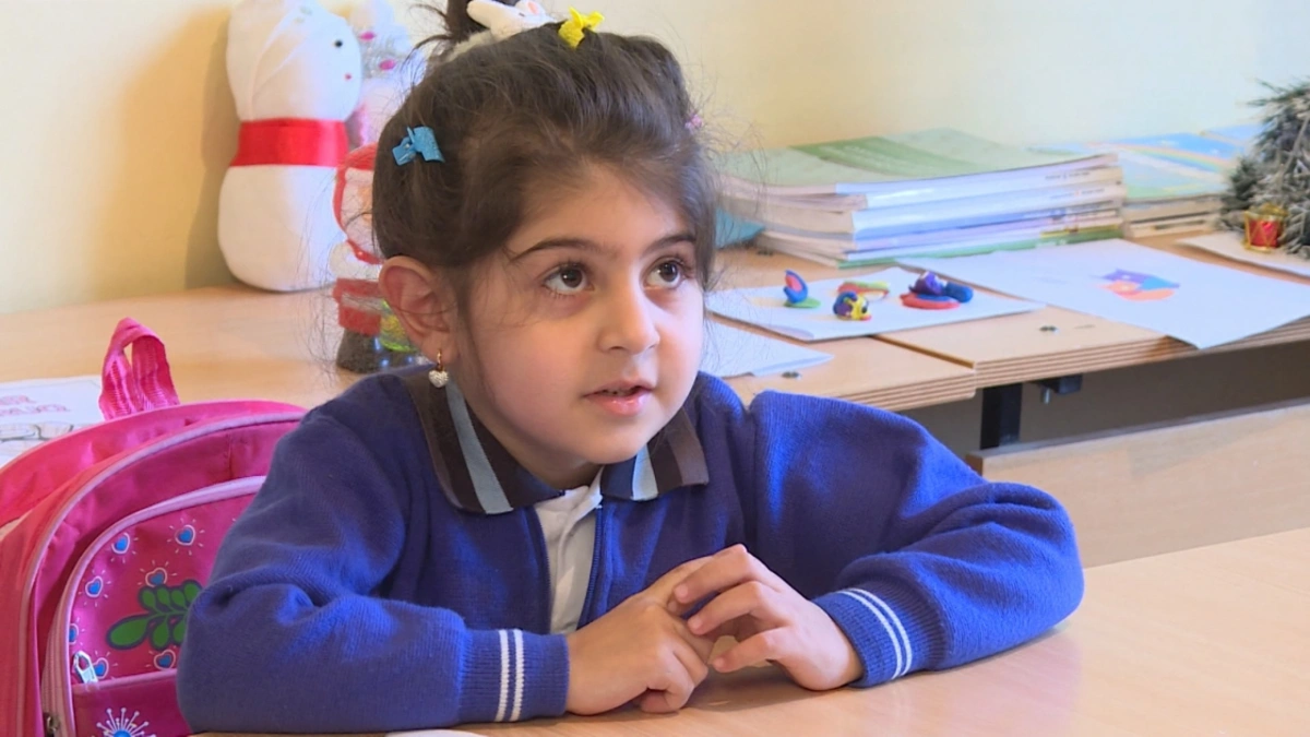 "5-10 şagirdlə keyfiyyətli təhsil mümkün deyil" - ixtisarlar olacaq