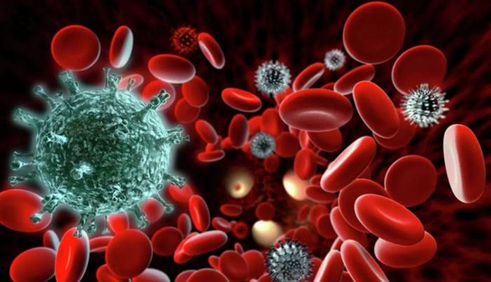 Alimlər immun sistemini sakitləşdirən təbii vasitələri müəyyənləşdirib