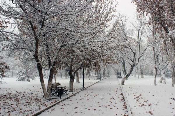 Qış fəslinin Azərbaycana daxil olma vaxtı açıqlanıb