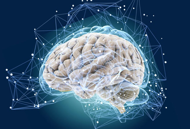 Beyin sinirlərinin canlı izlənməsi mümkün oldu