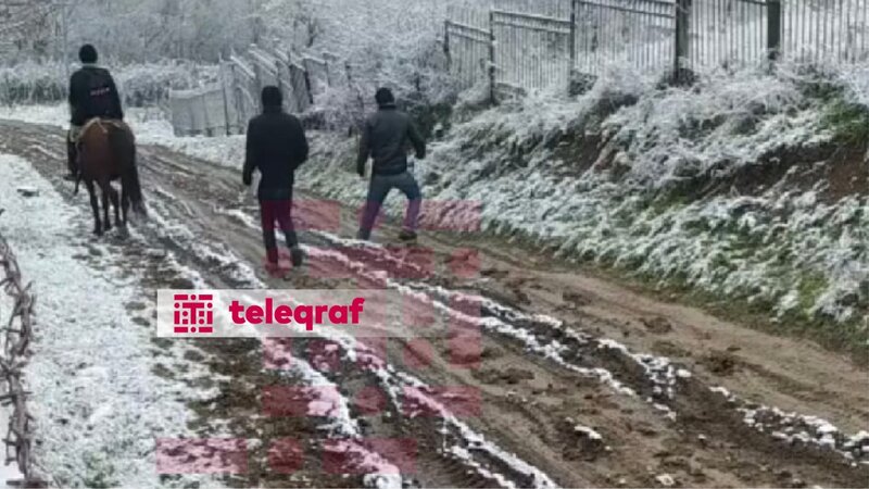 Şagirdlər qonşu kənd məktəbinə atla gedib-gəlməyə məcburdurlar -&nbsp;FOTO