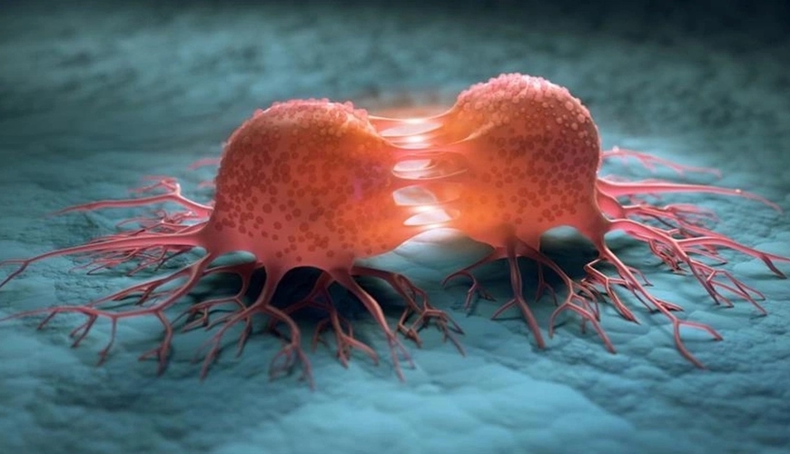 Uşaqlara edilən səhvlər 30 yaşdan sonra xərçəng riskini artırır