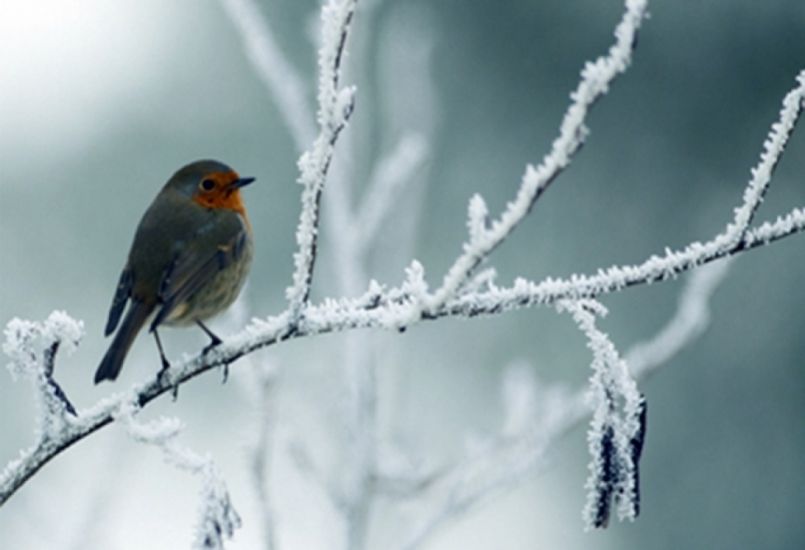 Sabah 20 dərəcə şaxta olacaq