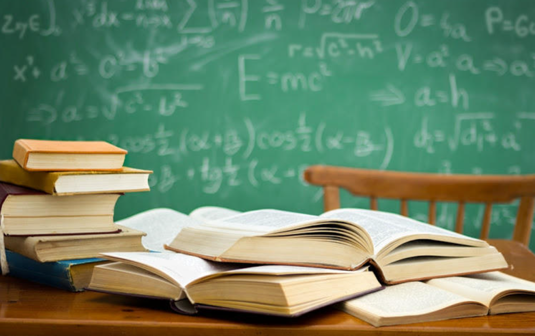 Elmin məqsədi yalnız məşğulluq deyil,&nbsp;real inkişaf hədəfdir - Deputat