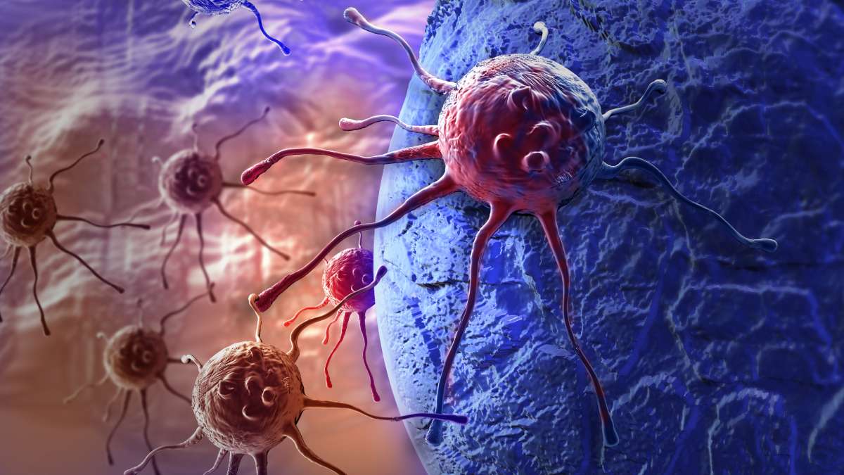 Xərçənglə mübarizədə yeni ümid: gücləndirilmiş antikorlar