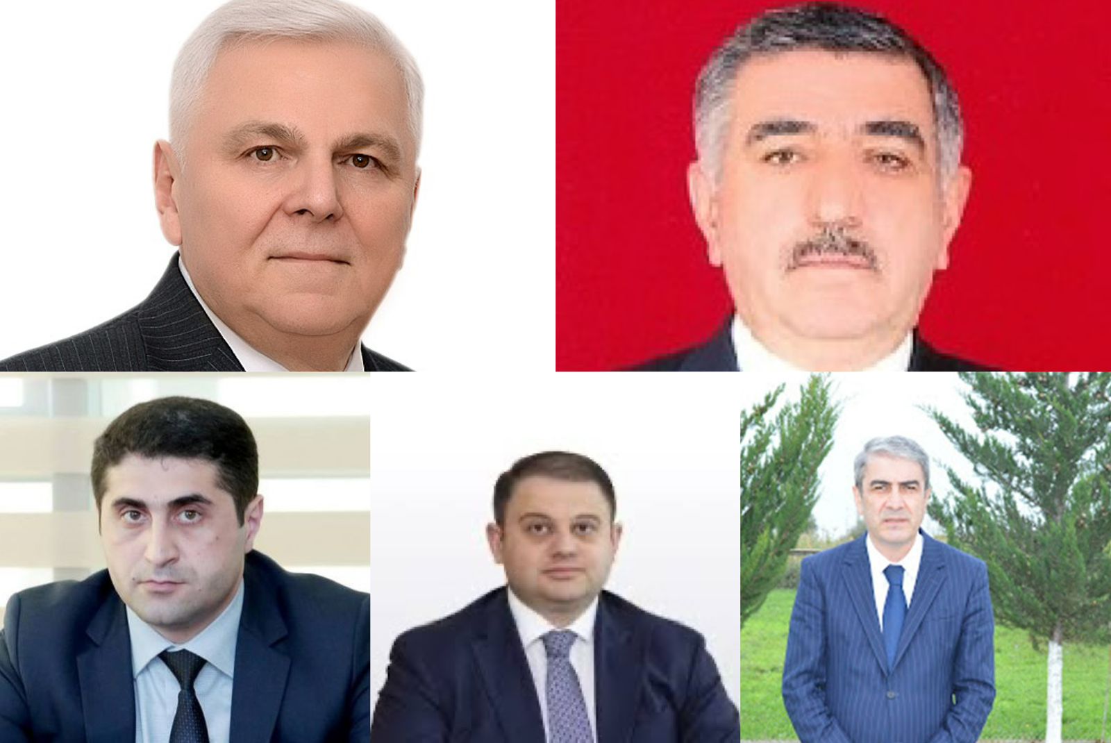 Şəki-Zaqatala bölgəsinin&nbsp;icra başçıları hansı ixtisaslar üzrə təhsil alıb?