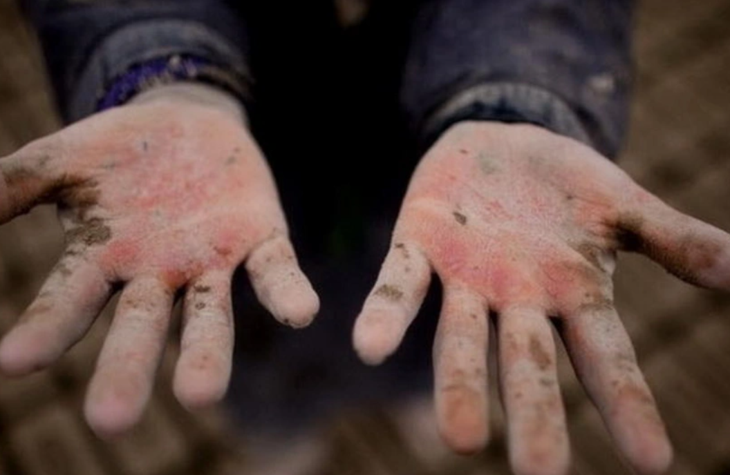 Uşaq əməyinə görə məsuliyyətin sərtləşdirilir