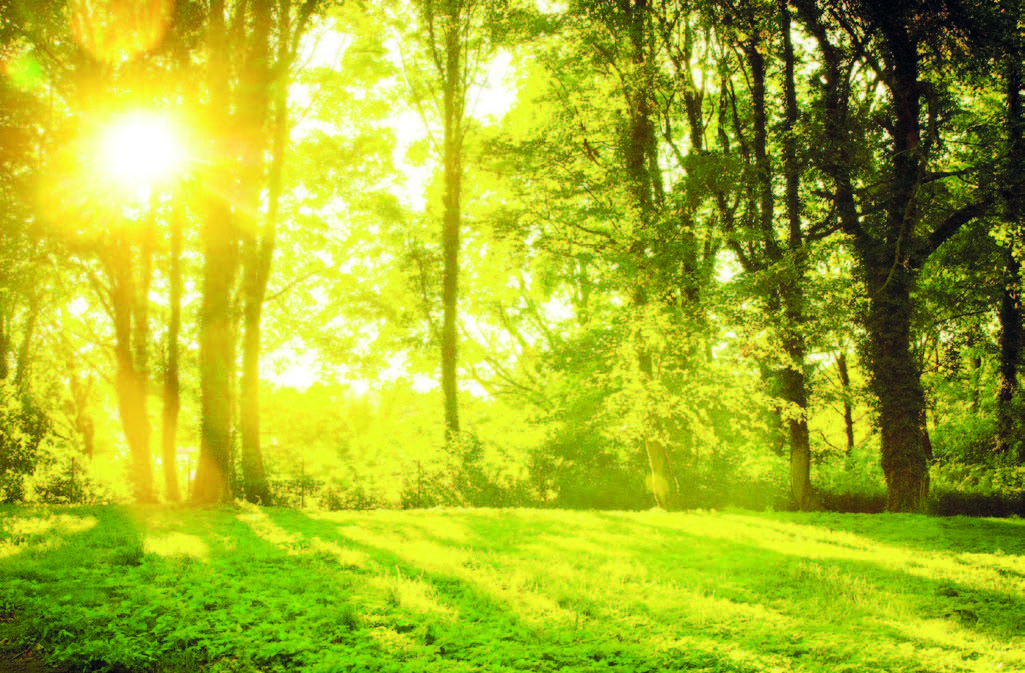 Alimlər yüzmilyonlarla il əvvəl var&nbsp;olmuş&nbsp;həyat&nbsp; aşkarlayıblar