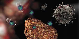 Hindistanda sağalmaz virus yayılır