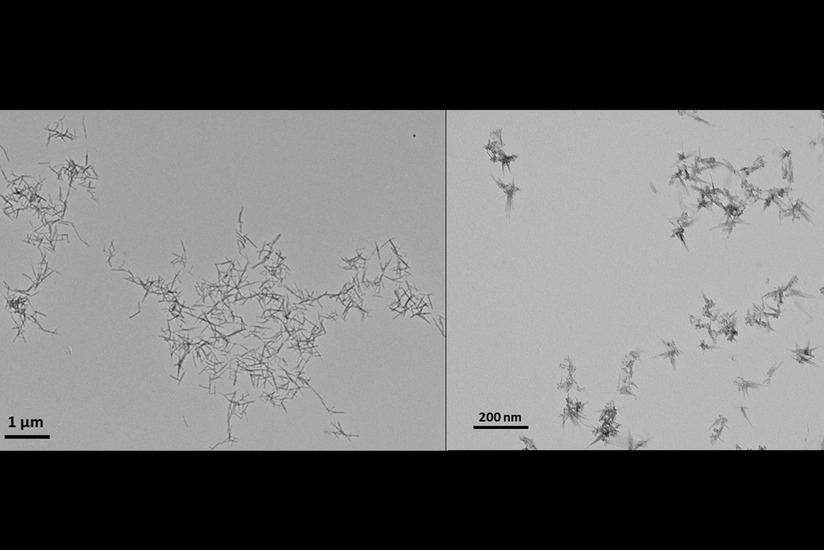 ABŞ alimləri xərçəng hüceyrələrini məhv edən nanomaterial hazırlayıblar