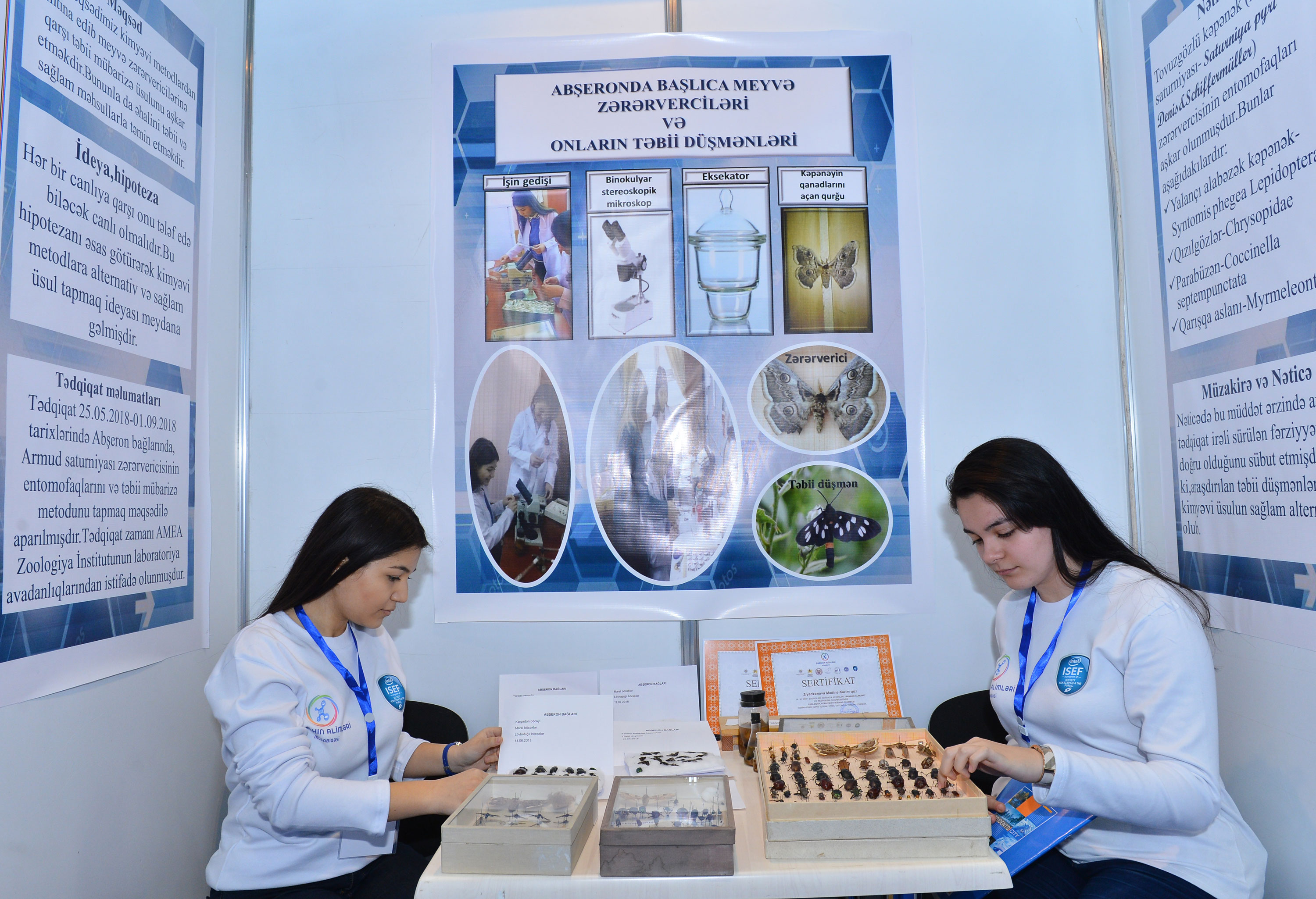 AMEA-nın dərslik ekspertizasında rolu artırılmalıdır - ARTİ rəsmisi