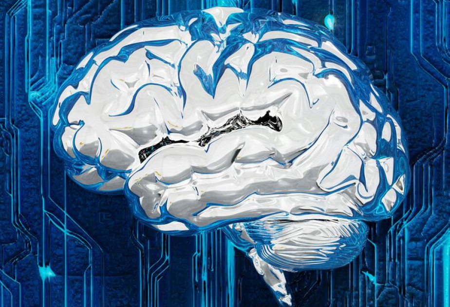 Süni intellekt üzrə beynəlxalq elmi qrup formalaşdırılıb